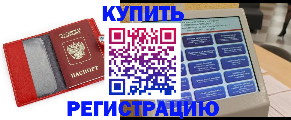 прописка для школы в Торжоке